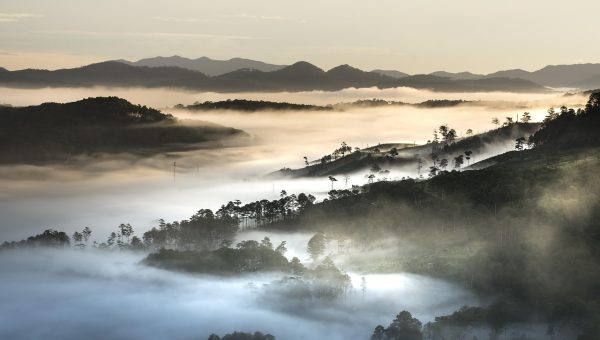 短剧高清播放《山海邮路》画面：清晨薄雾中的山间公路与邮递员背影